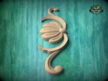 Load image into Gallery viewer, A wooden carving of a shell-like design is displayed against a teal-colored background.
