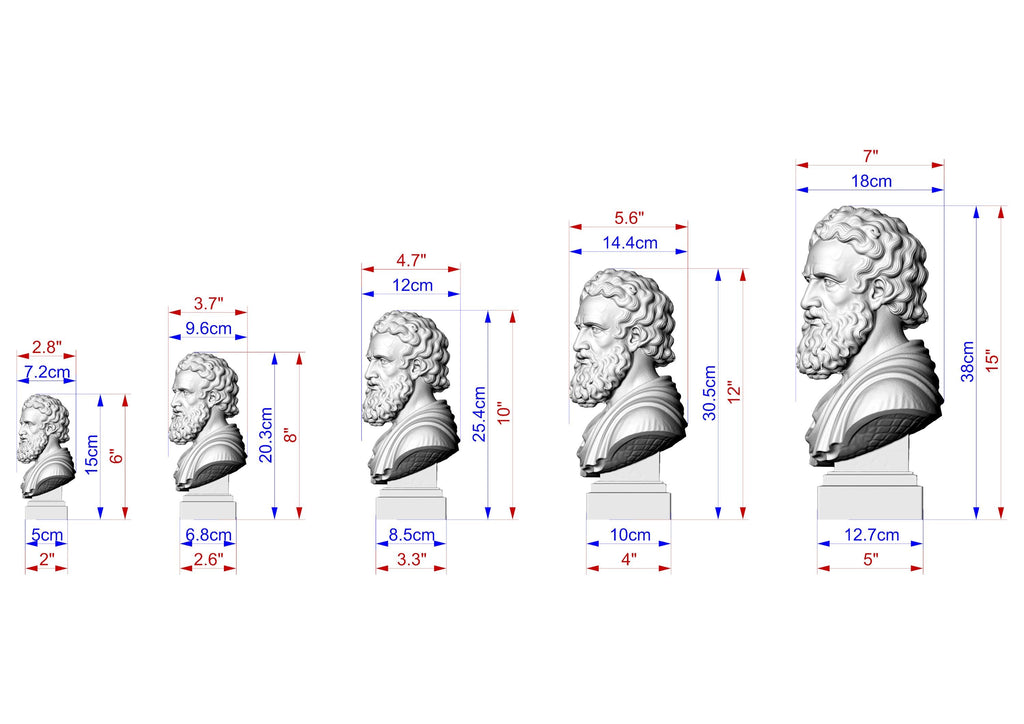 Plato Bust, Hand-Finished Wood Sculpture | Greek Philosophy Decor