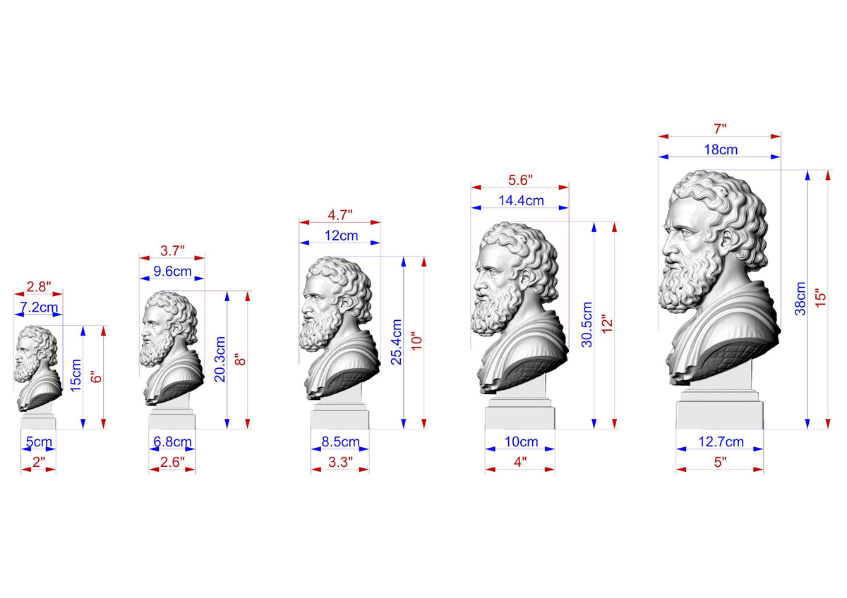 Plato Bust, Hand-Finished Wood Sculpture | Greek Philosophy Decor