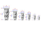 A series of seven gray stone lion statues, each with a unique size and height, ranging from 10" to 25" in centimeters. The statues are arranged in a row, with the tallest one on the left and the shortest one on the right. The image provides a visual representation of the different sizes of the statues, likely used for design or artistic purposes.