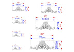a series of images depicting various sizes of ornamental designs, likely used for scale reference purposes. The images are labeled with their respective sizes in centimeters, ranging from 15 to 75 centimeters. The images are arranged in a grid format, with each row representing a different size and the columns representing the different images. The labels provide a clear visual representation of the size differences between the images.