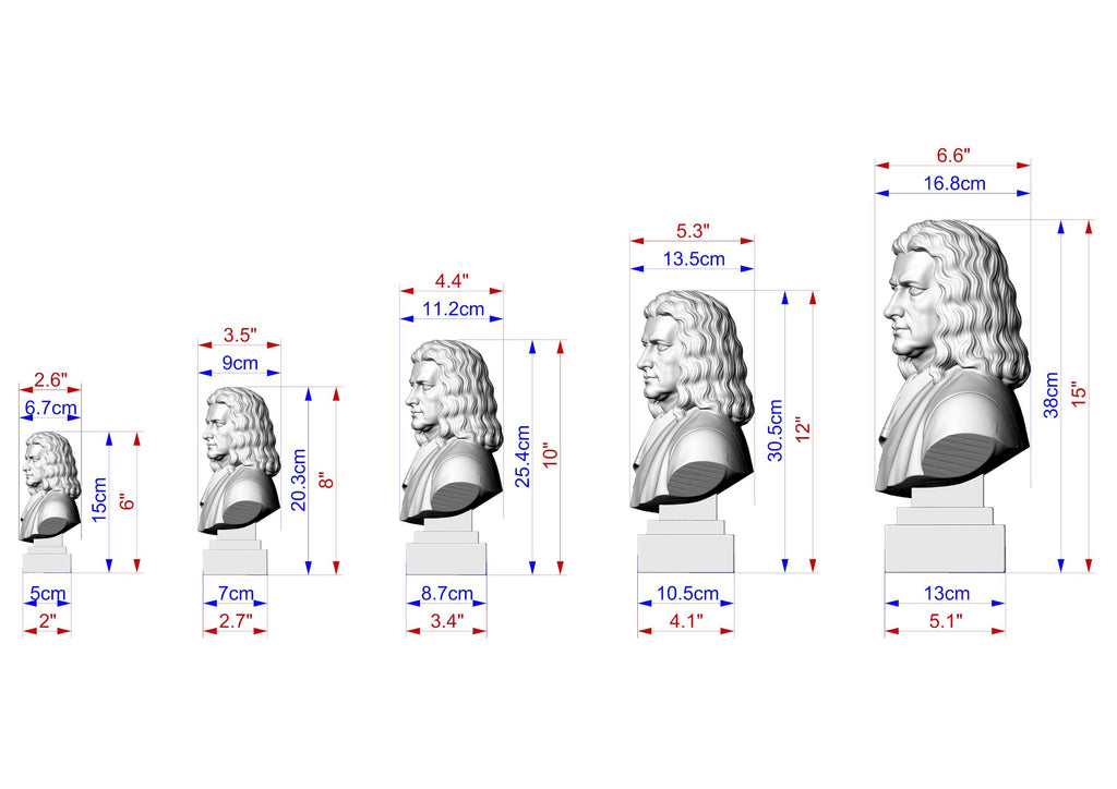 Isaac Newton Bust, Hand-Finished Wood Sculpture | Physics & Math Decor