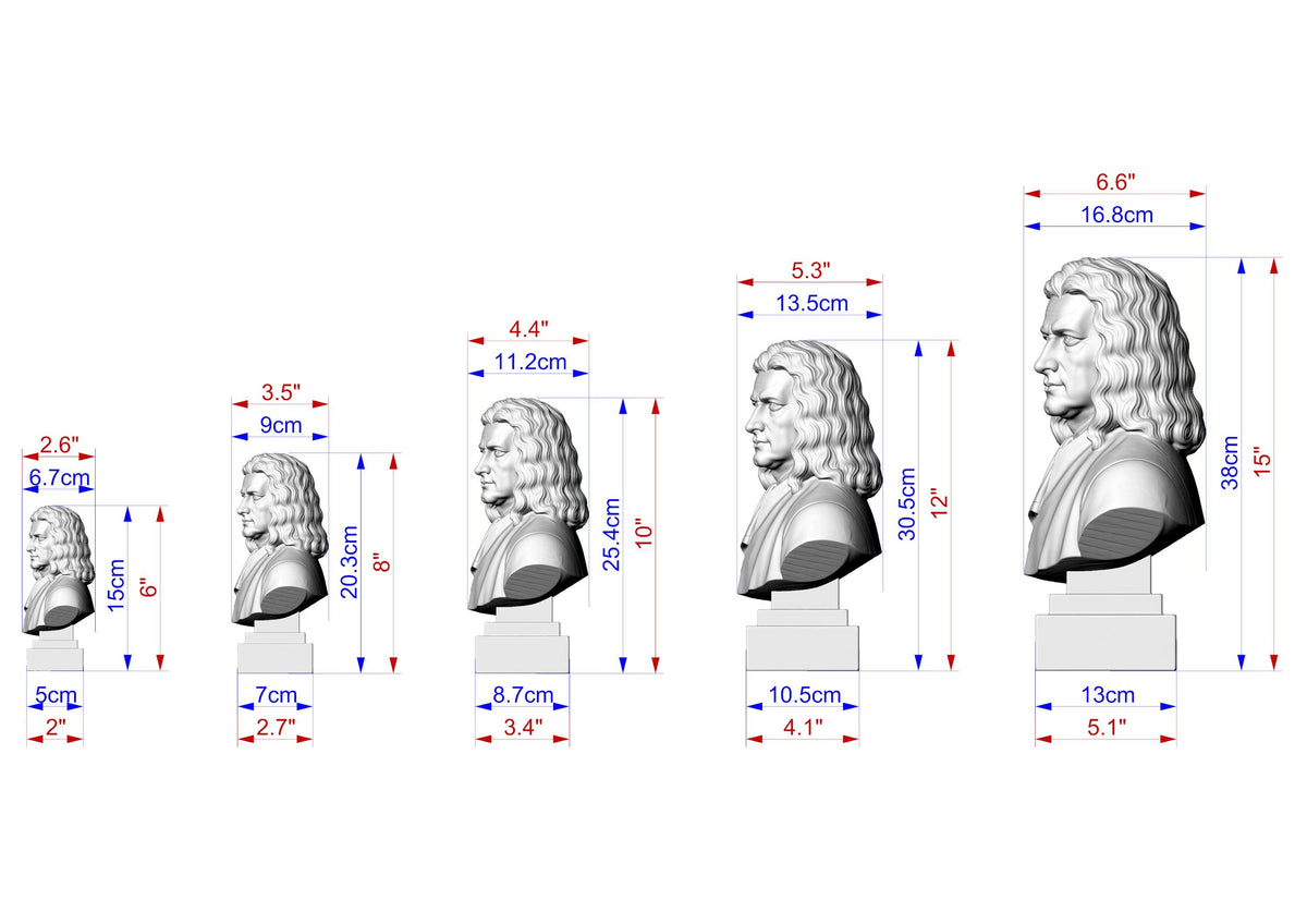 Isaac Newton Bust, Hand-Finished Wood Sculpture | Physics & Math Decor