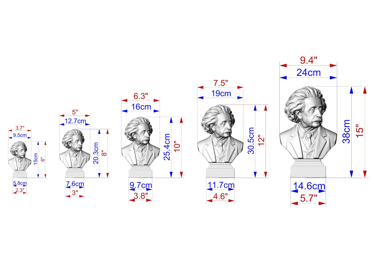 Einstein Bust | Carved and Hand-Finished Wood Statue | Gift for Scientists & Physicists
