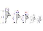 a series of five different sizes of a decorative molding or carving, each with its own unique measurements and scale. The sizes range from 5" to 15" and are labeled with the corresponding measurements in centimeters.