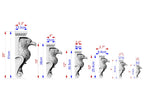 a series of images depicting various sizes of eagle sculptures, ranging from 5.3 cm to 20 cm in height. The images are arranged in a linear fashion, showcasing the different sizes of the eagle sculptures from smallest to largest.