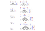a series of images depicting various sizes of ornamental designs, likely used for scale reference or design purposes.