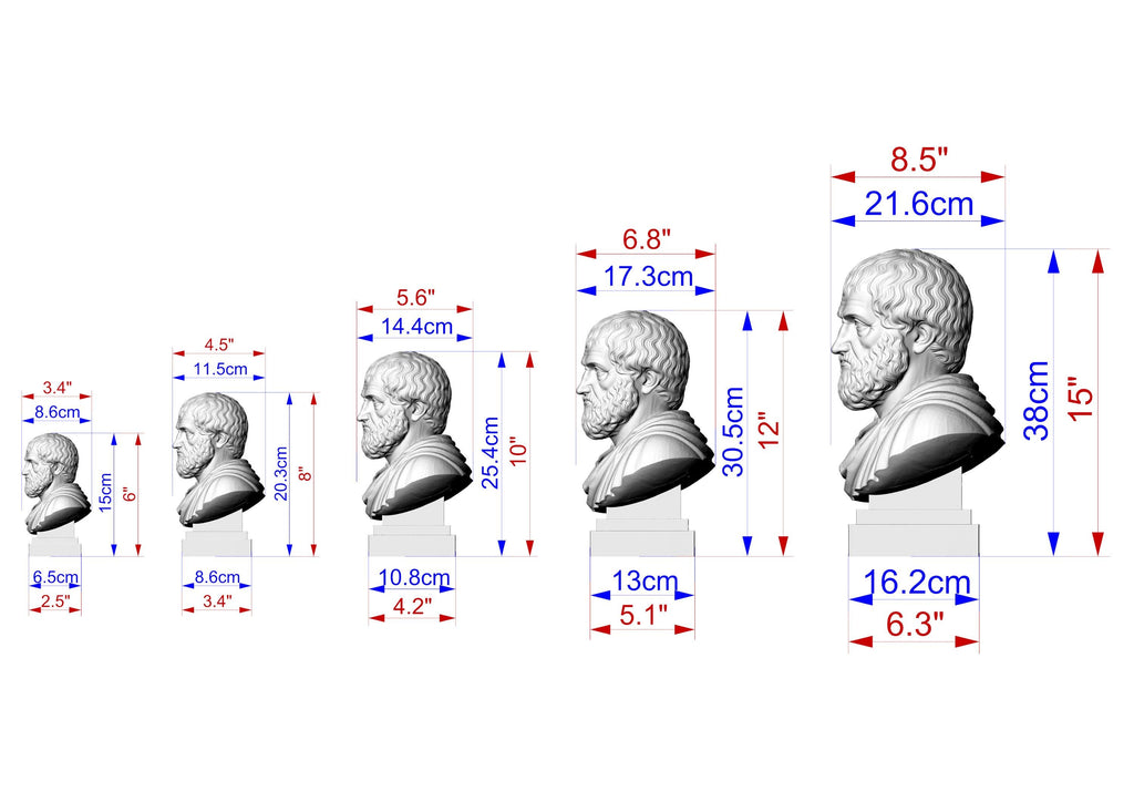 Aristotle Bust, Hand-Finished Wood Sculpture | Greek Philosophy Decor
