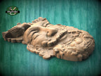 Greenman Wood Carving Onlay – Folklore Face with Bird Nest, Carved Decorative Applique
