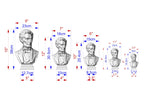 a series of busts of a person, each with different measurements and sizes, ranging from 9" to 3" in height. The busts are arranged in a row, with the tallest one on the left and the shortest one on the right. The image provides a visual representation of the varying sizes of the busts, likely used for comparison or artistic purposes.