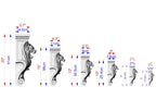 a series of architectural designs or models of a lion's head, each with its own size and dimensions. The sizes are indicated in centimeters, ranging from 20 to 25 cm. The image is a visual representation of the different sizes of the lion's head designs, providing a clear comparison between them.