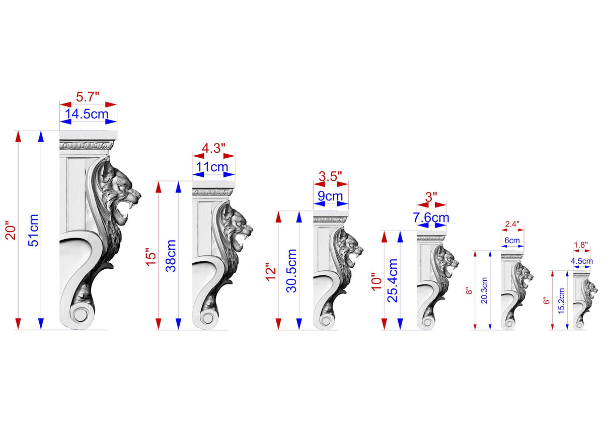 a series of architectural designs or models of a lion's head, each with its own size and dimensions. The sizes are indicated in centimeters, ranging from 20 to 25 cm. The image is a visual representation of the different sizes of the lion's head designs, providing a clear comparison between them.