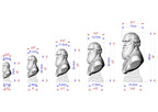 Charles Darwin Bust, Hand-Finished Wood Sculpture | Biology & Science Decor