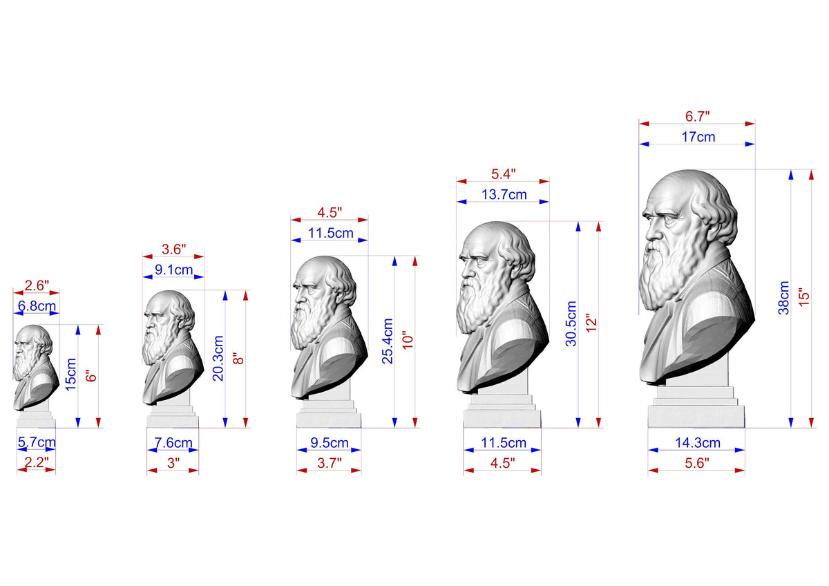 Charles Darwin Bust, Hand-Finished Wood Sculpture | Biology & Science Decor