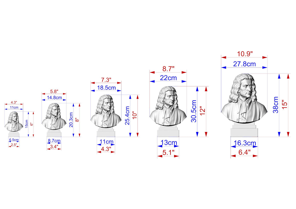 Isaac Newton Bust, Hand-Finished Wood Sculpture | Physics & Math Decor