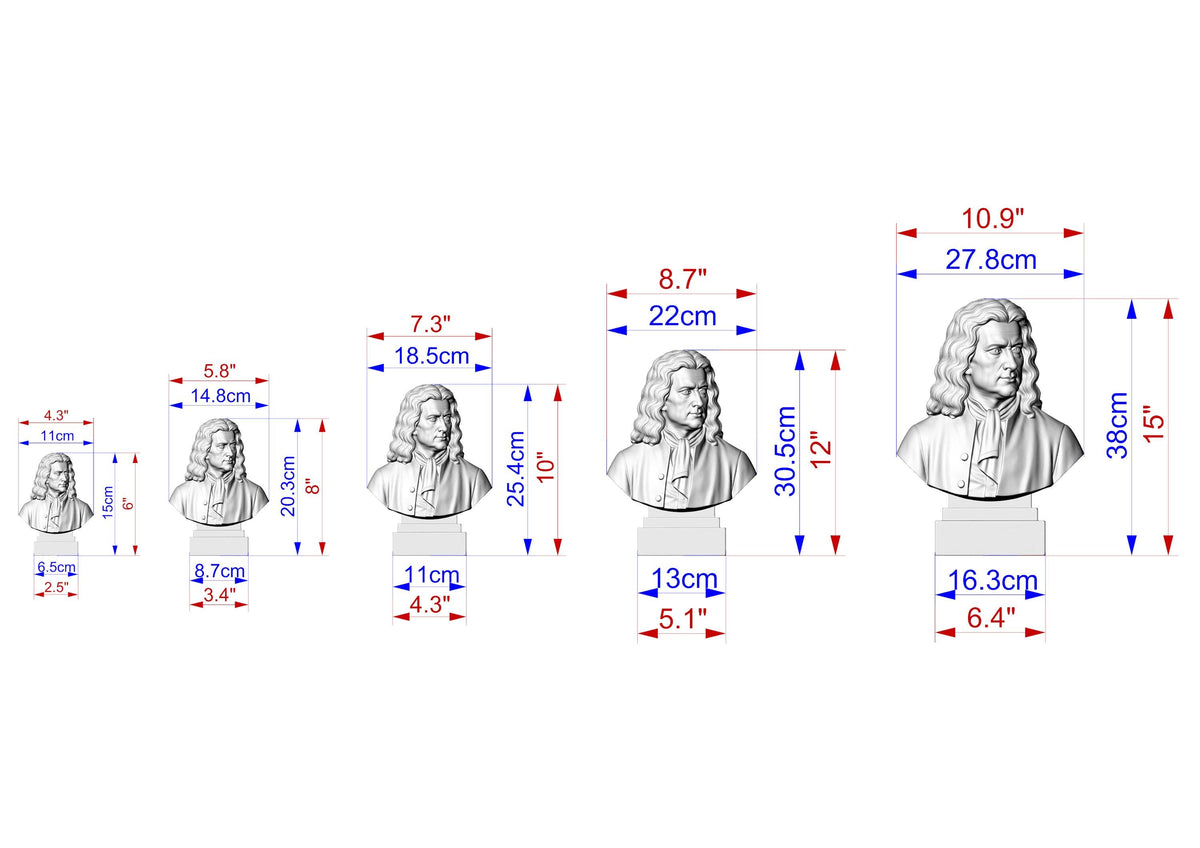 Isaac Newton Bust, Hand-Finished Wood Sculpture | Physics & Math Decor