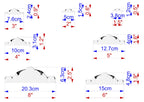 a series of six different sizes of a white object, each labeled with its corresponding measurement in centimeters. The sizes are from 7.6 cm to 3.8 cm, with intermediate measurements such as 10 cm, 12.7 cm, and 15 cm. The image is a collage of these six images, and the text provides the size of each object in centimeters.
