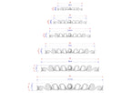 a series of images, each with a different size and design, likely representing a collection or a series of related images.