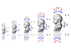 Einstein Bust | Carved and Hand-Finished Wood Statue | Gift for Scientists & Physicists