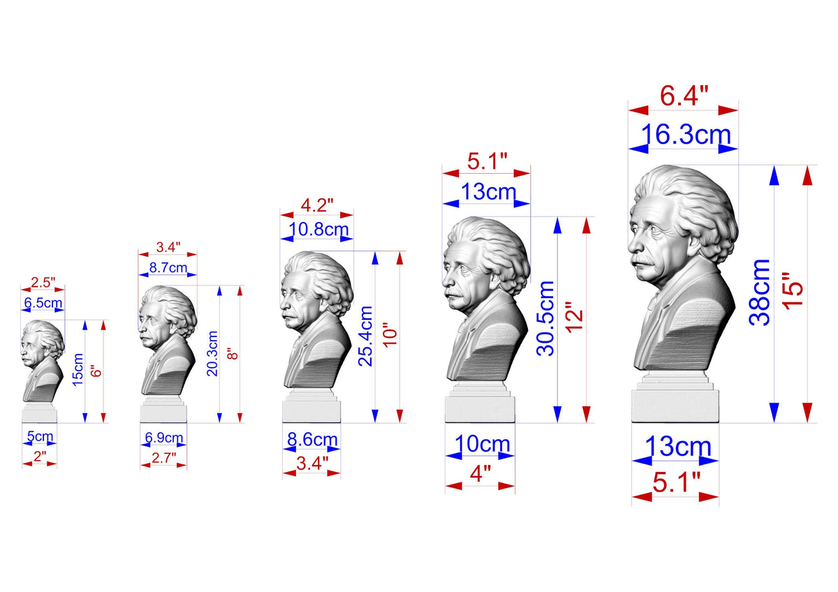Einstein Bust | Carved and Hand-Finished Wood Statue | Gift for Scientists & Physicists