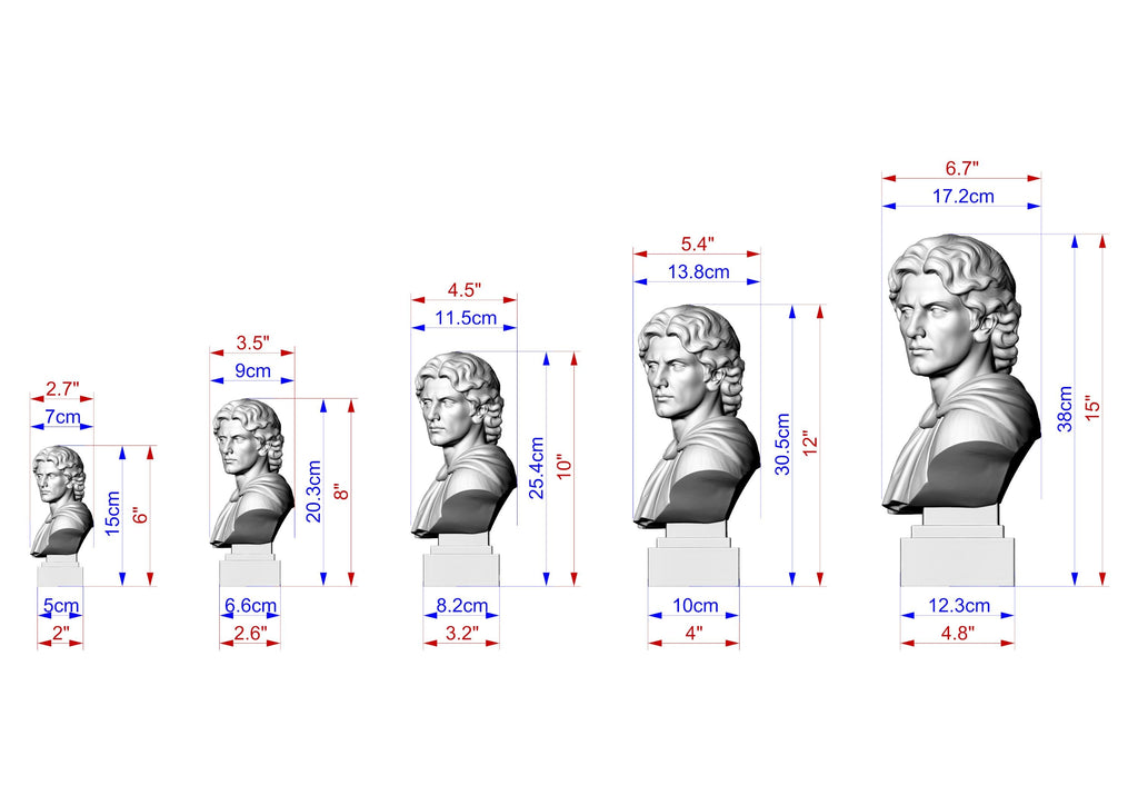 Alexander the Great Bust | Carved & Hand-Finished Wood Statue | Conqueror Gift
