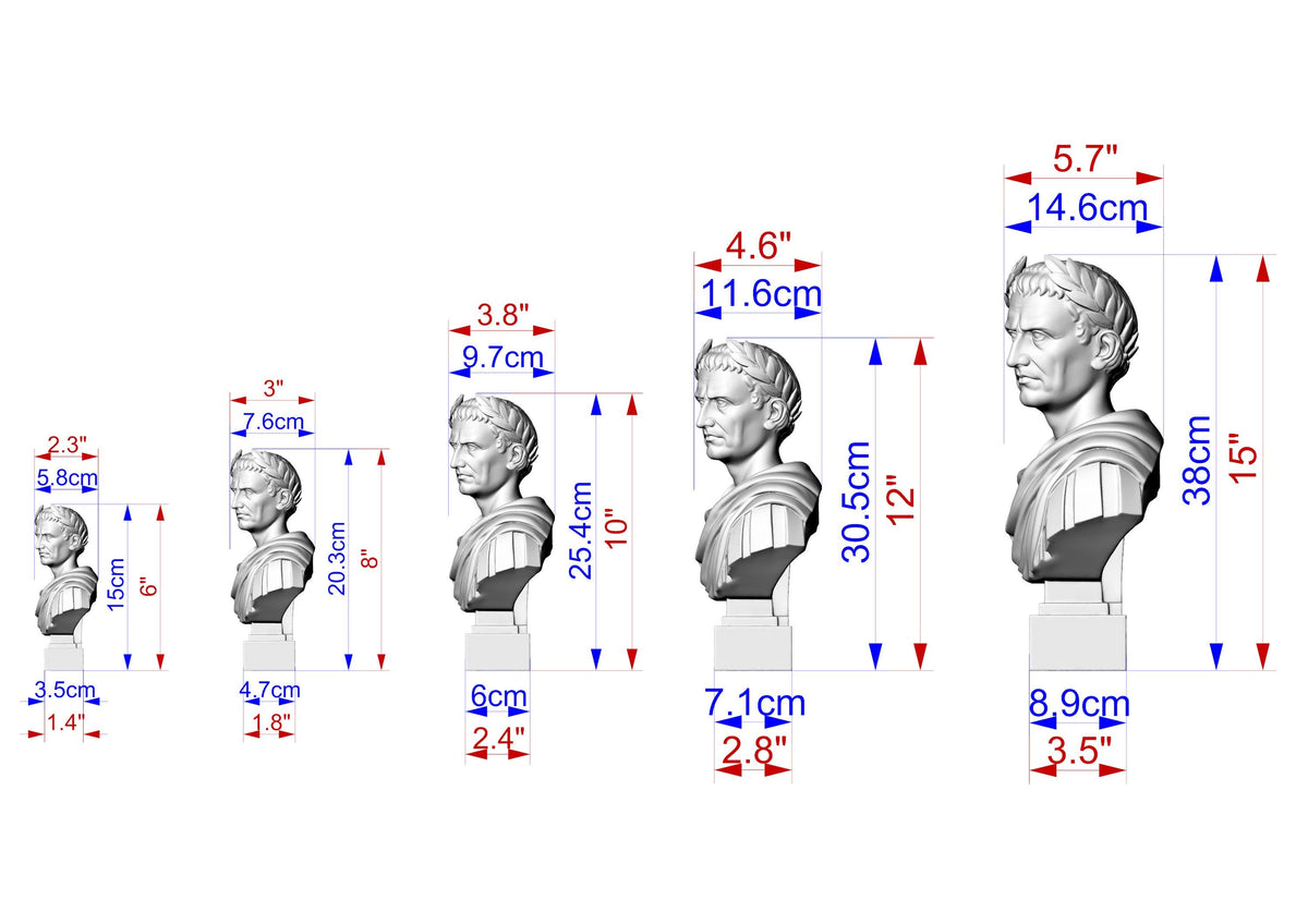 Julius Caesar Bust | Carved and Hand-Finished Wood Statue | Roman Emperor Gift