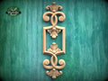a decorative wooden frame with intricate floral designs, set against a green textured background.