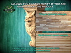 The image is a promotional advertisement for MasterCoat, a company that specializes in painting products. It features a carved wooden lion head and a wooden plank, along with text providing information about the products.