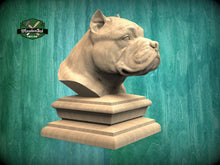 Load image into Gallery viewer, American Bully bust made of wood, Unpainted,American Bully Wooden Finial for Staircase Newel Post, American Bully finial bed post
