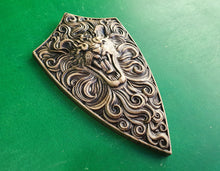 Load image into Gallery viewer, Lion on Shield, carved lion shield, viking shield, wooden carving, wall hangign, wall panno
